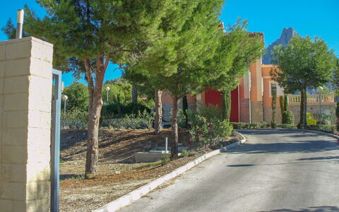 Villa Orquideas: Plante, Ciel, Bleu, Surface De La Route, Arbre, Ombre, Bâtiment, Branche, Asphalte, Lot Terre