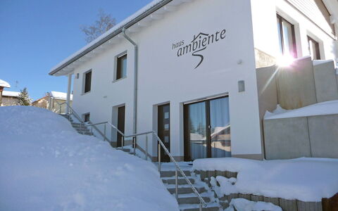 Ambiente: Bâtiment, Fenêtre, Ciel, Neige, Pente, Gelé, Plante, Zone Résidentielle, Maison, Immobilier