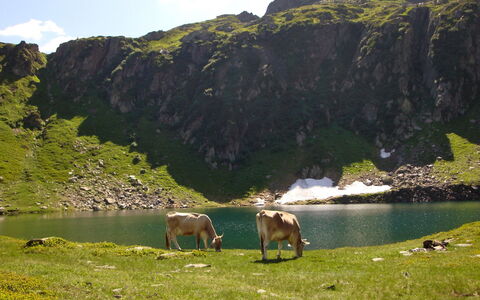 Vergeletto 100: L'Eau, Montagne, Ciel, Plante, Vert, Paysage Naturel, Nuage, Lac, Herbe, Cours D'Eau