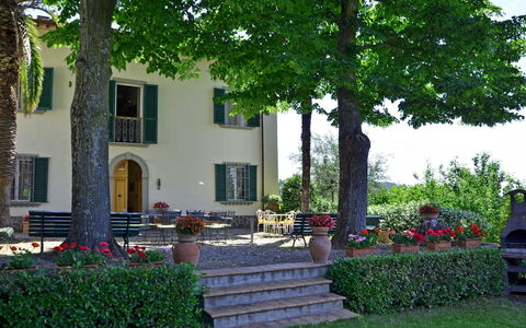 Villa Buonaparte: Propriété, Maison, Bâtiment, Domicile, Immobilier, Arbre, Biens, Cour, Zone Résidentielle, Cour