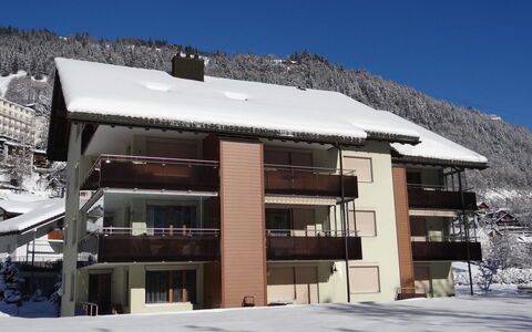 Blumenweg 8: L'Hiver, Neige, Gelé, Glacial Relief, Village De Montagne, Balcon, Daylighting, Alpes