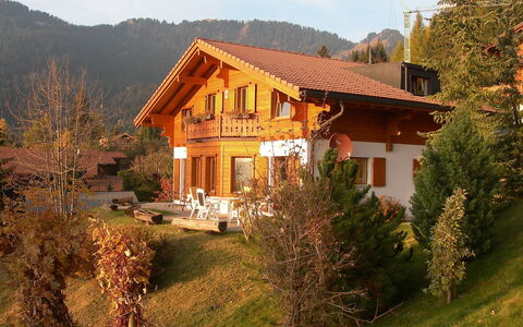 Chalet Petit Pont: Maison, Domicile, Propriété, Village De Montagne, Paysage Naturel, Immobilier, Bâtiment, Biens, Chalet, Toit