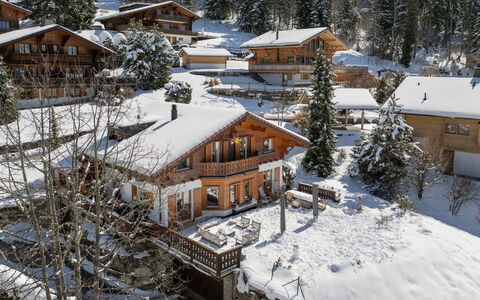 Chalet Petit Pont: Arbre, Maison, Domicile, Chalet, Toit, Neige, L'Hiver, Station De Montagne, Mélèze, Village