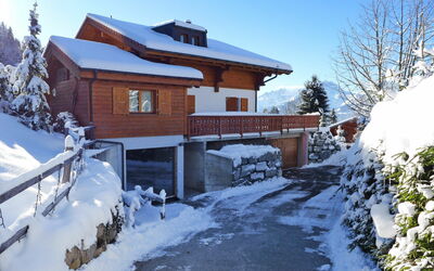 Chalet Petit Pont