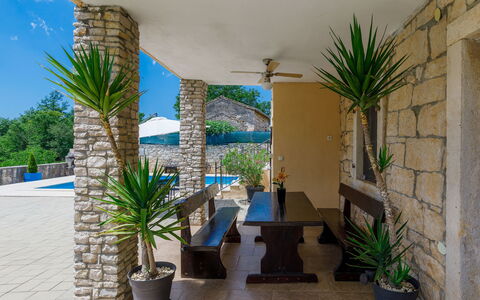 Šterna: Plante, Propriété, Pot De Fleur, Plante D'Appartement, Ciel, Design Intérieur, Ombre, Arecales, Herbe, Immobilier