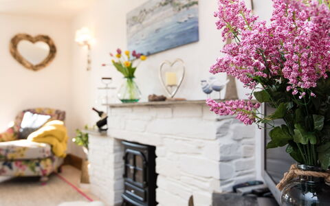 Thrift Cottage: Plante, Fleur, Pot De Fleur, Cadre, Bâtiment, Plante D'Appartement, Design Intérieur, Bois, Maison, Salon