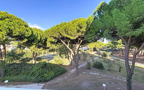 Le Saint Clair: Feuille, Arbre, Branche, Végétation, Arbuste, Suppression Des Plantes Ligneuses, Tronc, Jardin, Ombre, Pelouse