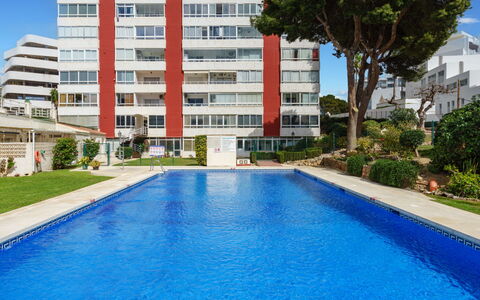 San Francisco: L'Eau, Plante, Bâtiment, Jour, Propriété, Piscine, Fenêtre, Bleu, Bleu Azur, Arbre