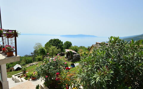 Josip: Végétation, Propriété, Vacances, Botanique, Tourisme, Arbre, Immobilier, Ciel, Mer, Recours