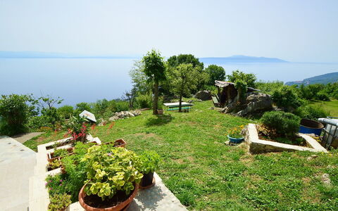 Josip: Végétation, Propriété, Immobilier, Communauté Des Plantes, Lot Terre, Plante, Herbe, Arbre, Zone Rurale, Jardin