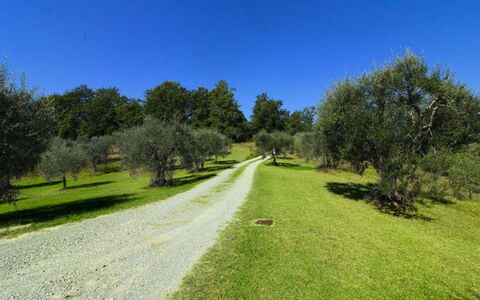 La Casetta nel Bosco: Biens, Ferme, Jardin, Aménagement Paysager, Hacienda, Pelouse, Villa, Cour, Arrière-Cour, Manoir