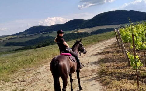 La Casetta nel Bosco: Cheval, Ciel, Nuage, Plante, Montagne