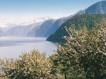 Norddal