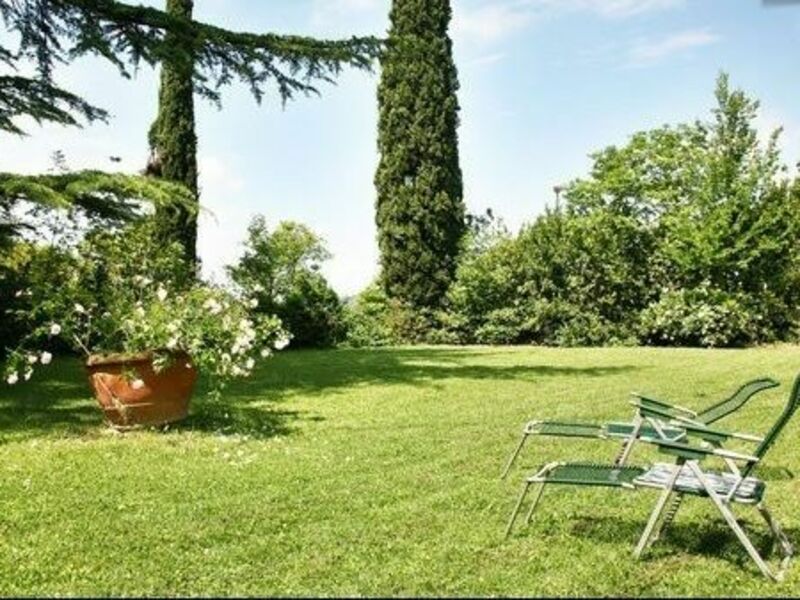 Lawn in the garden
