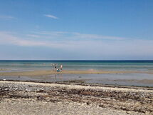 Fjellerup Strand