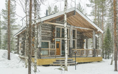 Kotkanpesä: Bois, Neige, Chalet, L'Hiver, Toit, Domicile, Gelé, Cabane En Rondins, Siding, Pente