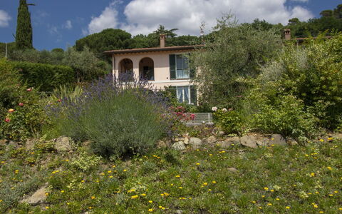 Olindia: Végétation, Propriété, Maison, Paysage Naturel, Botanique, Communauté Des Plantes, Immobilier, Jardin, Arbre, Zone Rurale