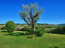 Saturnia 9