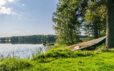 Saniainen 5