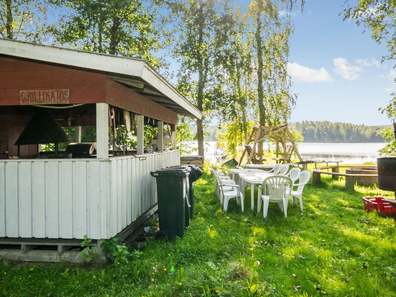 Saniainen 5