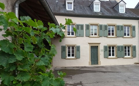 Greiweldenger Leit As: Plante, Fenêtre, Bâtiment, Maison, Ciel, Quartier, Immobilier, Chalet, Porte