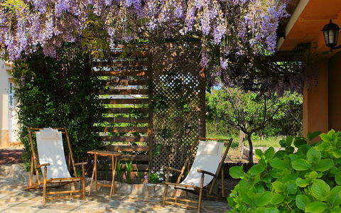 Marina: Patio, Propriété, Arbre, Plante, Immobilier, Jardin, Botanique, Printemps, Cour, Fleur