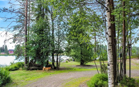 Hamppulahti: Chalet, Maison, Domicile, Batiments Jardin, Siding, Cabane En Rondins, Ferme, Biens, Cabanon, Cour