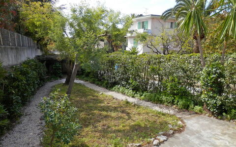 Villa Esmeralda: Végétation, Propriété, Immobilier, Arbre, Botanique, Jardin, Zone Résidentielle, Maison, Arbuste, Plante