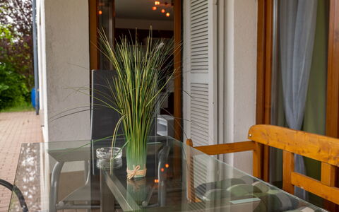 Langes Leben al Khalid: Plante, Propriété, Pot De Fleur, Bois, Plante D'Appartement, Design Intérieur, Fenêtre, Rideau, Chaise