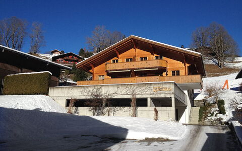 Chalet am Reeti: Ciel, Bâtiment, Neige, Arbre, Pente, Maison, Fenêtre, Bois, Plante, Gelé