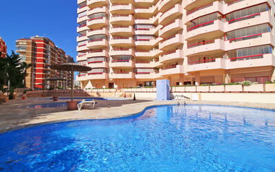 Logement:&nbsp;Amatista 09 867.9