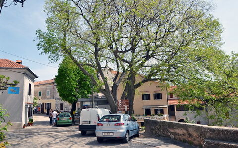 Kristijan: Zone Résidentielle, Arbre, Quartier, Propriété, Ville, Suppression Des Plantes Ligneuses, Transport, Plante, Banlieue, Véhicule