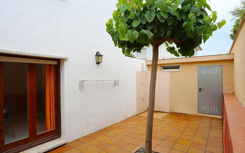 Gladiols: Propriété, Arbre, Immobilier, Maison, Plante, Pièce, Plante D'Appartement, Bâtiment, Cour, Sol