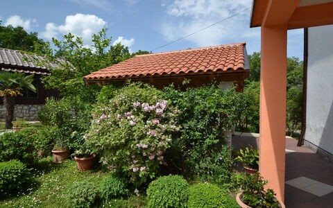 Franjo: Propriété, Immobilier, Jardin, Maison, Cour, Botanique, Toit, Plante, Arrière-Cour, Bâtiment