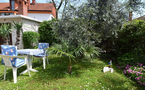 Opatija Ika 106: Propriété, Jardin, Cour, Arrière-Cour, Arbre, Maison, Herbe, Immobilier, Printemps, Plante