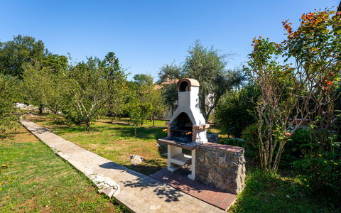 Opatija Ika 106: Arbuste, Jardin, Pelouse, Aménagement Paysager, Ombre, Cour, Arrière-Cour, Parc