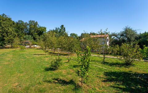 Opatija Ika 106: Arbre, Environnement Naturel, Végétation, Arbuste, Plaine, Prairie, Zone Rurale, Lot Terre, Jardin