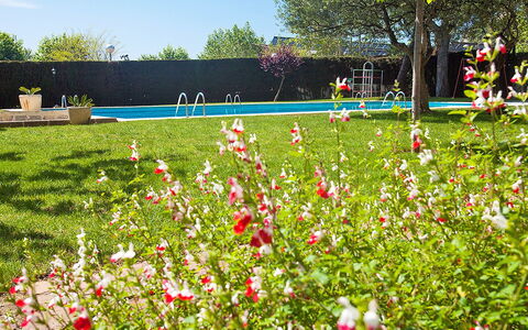 Edificio Blanqueries: Fleur, Plante, Ciel, Arbre, Paysage Naturel, Pétale, Herbe, Arbuste, Nuage