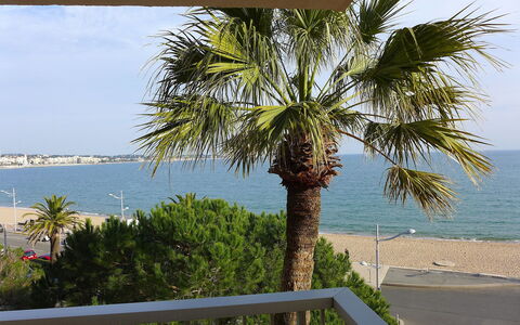 Fréjus 110: Arbre, Palmier, Arecales, Propriété, Suppression Des Plantes Ligneuses, Plante, Vacances, Palmier Dattier, Maison, Mer