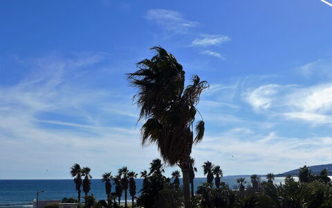 Cap Hermes: Ciel, Arbre, Palmier, Nuage, Jour, Arecales, Suppression Des Plantes Ligneuses, Mer, Plante, Océan