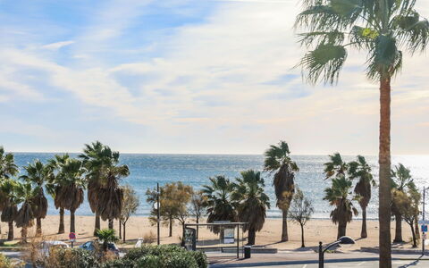 Cap Hermes: Arbre, Palmier, Arecales, Suppression Des Plantes Ligneuses, Ciel, Plante, Mer, Vacances, Plage, Rive