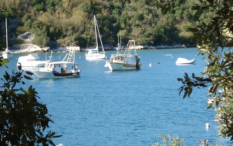 Novi: Plan D'Eau, Transport De L'Eau, L'Eau, Bateau, Véhicule, Lac, Arbre, Voie Navigable, Baie, Nautique