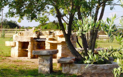 Novi: Arbre, Herbe, Maison, Plante, Zone Rurale, Bois, Table, Bâtiment, Meubles, Tourisme