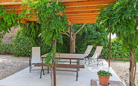 Cinigiano 100: Propriété, Arrière-Cour, Meubles, Cour, Jardin, Patio, Botanique, Plante, Arbre, Cour