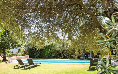 L'Oustaou dei Figo: Plante, L'Eau, Ombre, Paysage Naturel, Mobilier De Jardin, Végétation, Arbre, Lumière Du Soleil, Herbe, Loisir