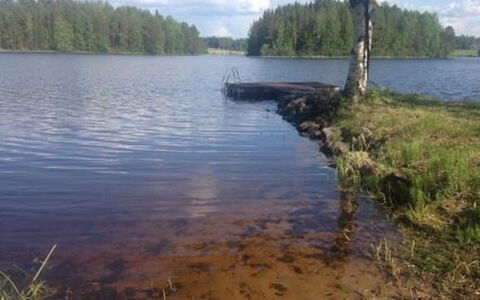 Mykkälä: Bois, Chalet, Tache De Bois, Dur, Cabane En Rondins, Planche, Plafond, Matériau Naturel, Lumber, Batiments Jardin