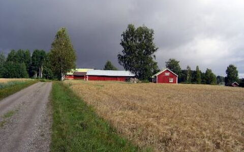 Mykkälä: Chalet, Maison, Domicile, Batiments Jardin, Siding, Cabane En Rondins, Ferme, Biens, Cabanon, Cour