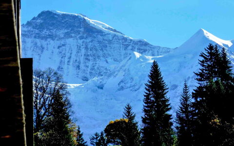 Wengen 11: Ciel, Montagne, Neige, Écorégion, Monde, Paysage Naturel, Arbre, Bleu Azur, Montagnes, Mélèze