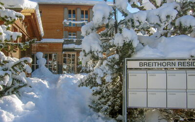 Wengen 11: Neige, Bâtiment, Jour, Propriété, Fenêtre, Plante, Lumière, La Nature, Branche, Brindille