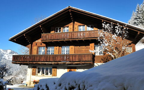 Drei Tannen: Ciel, Bâtiment, Neige, Plante, Fenêtre, Maison, Bois, Arbre, Pente, Mélèze